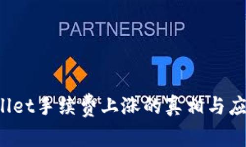  TPWallet手续费上涨的真相与应对策略