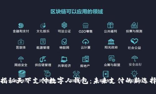 揭秘天下支付数字人钱包：未来支付的新选择