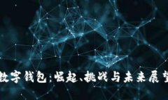 数字钱包：崛起、挑战与未来展望