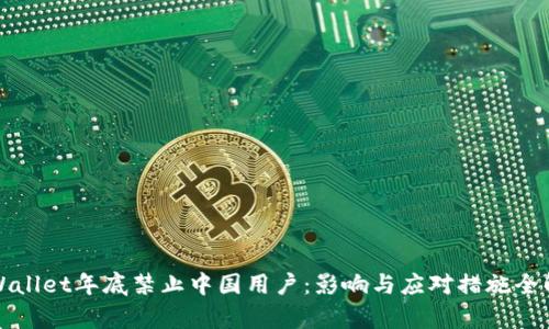 TPWallet年底禁止中国用户：影响与应对措施全解析