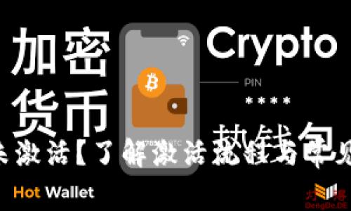 TPWalletPro未激活？了解激活流程与常见问题解决方案