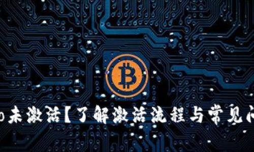 TPWalletPro未激活？了解激活流程与常见问题解决方案