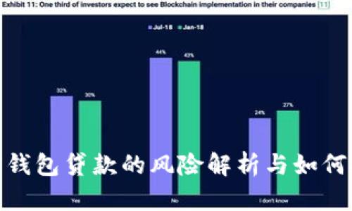 数字钱包贷款的风险解析与如何规避