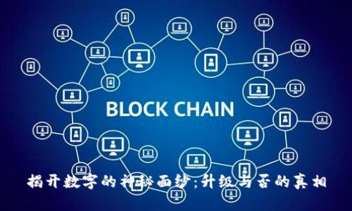 揭开数字的神秘面纱：升级与否的真相